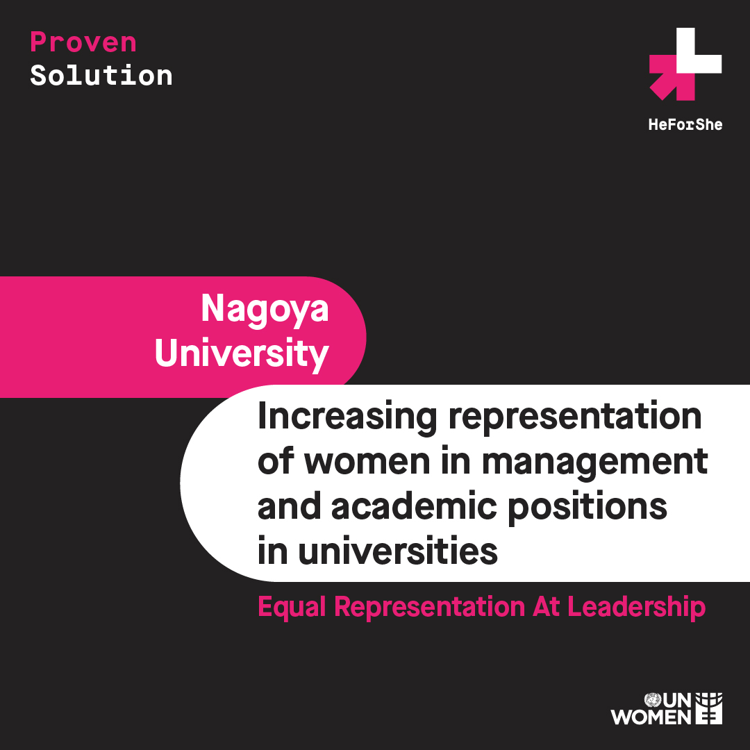Image showing solution title of Increasing representation of women in management and academic positions in universities