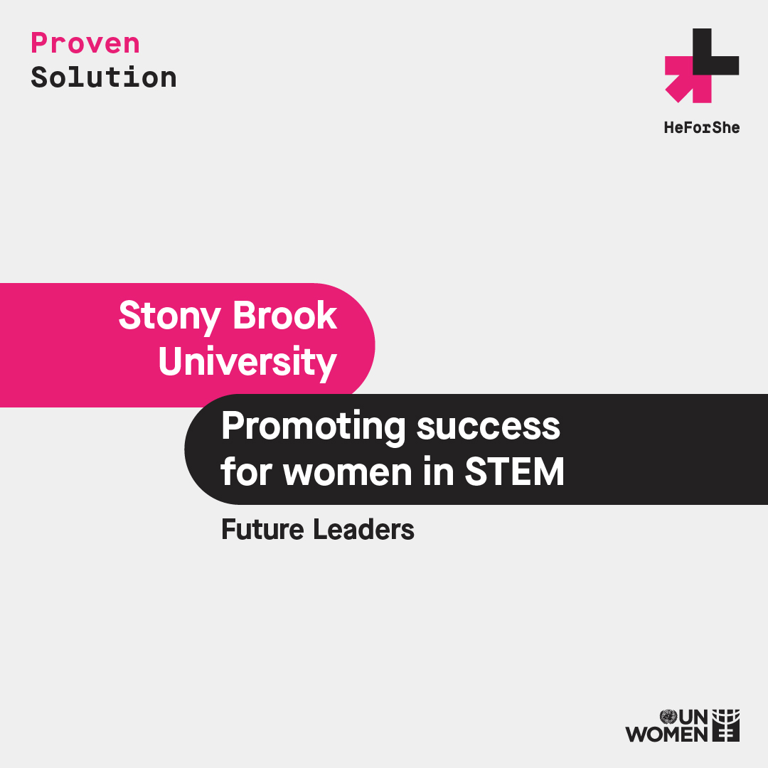 Image showing solution title of Promoting Success for Women in STEM