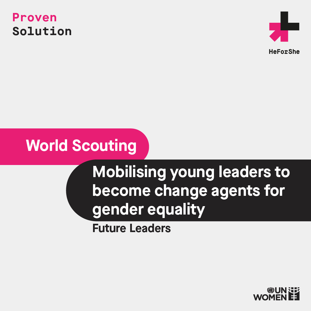 Image showing solution title of Mobilising Young Leaders to become Change Agents for Gender Equality