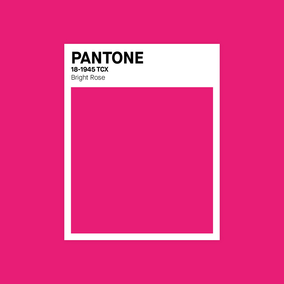 identity_pantone_2